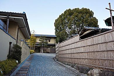 国产Gal《三色绘恋》真结局DLC  1月28日在Steam发售